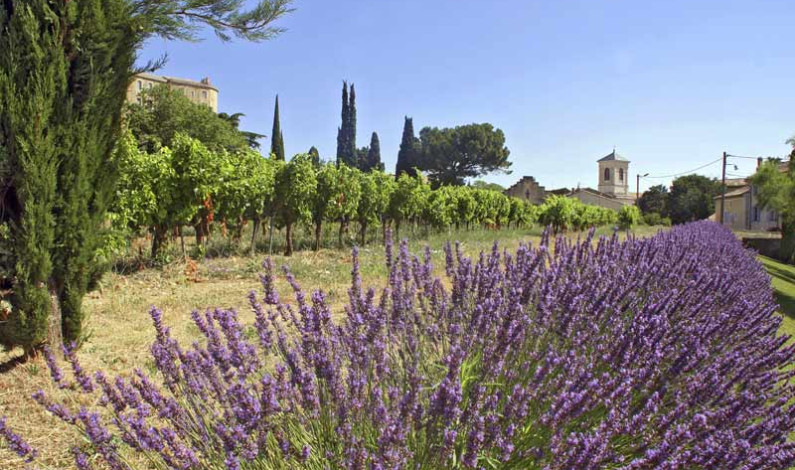 Provence: Welche Reisezeit ist günstig? Provence: Welche Reisezeit ist günstig?