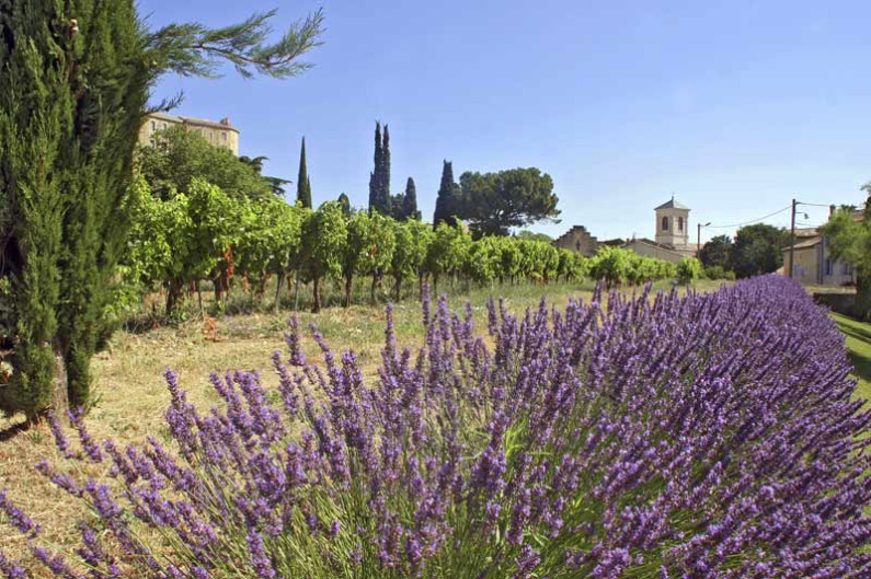 Provence: Welche Reisezeit ist günstig?