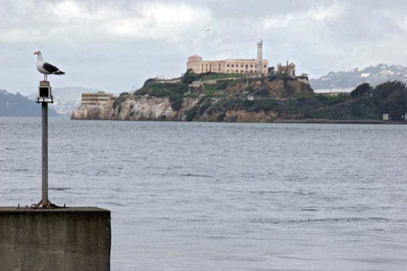 Alcatraz – Keine Urlaubsinsel