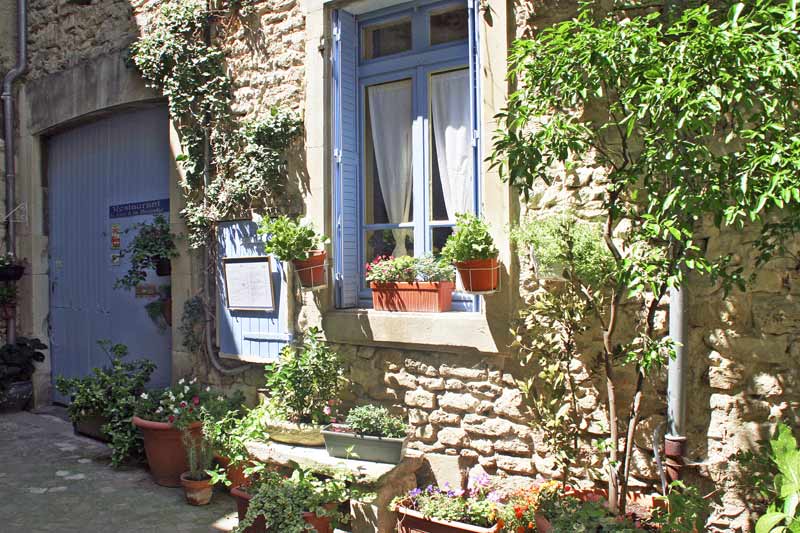 bluetenpracht-im-hinterhof