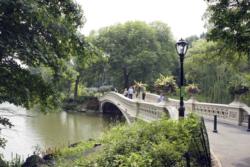 new-york-central-park-bruecke