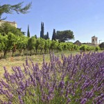 provence